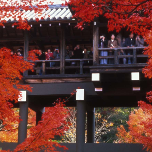Fall in japan